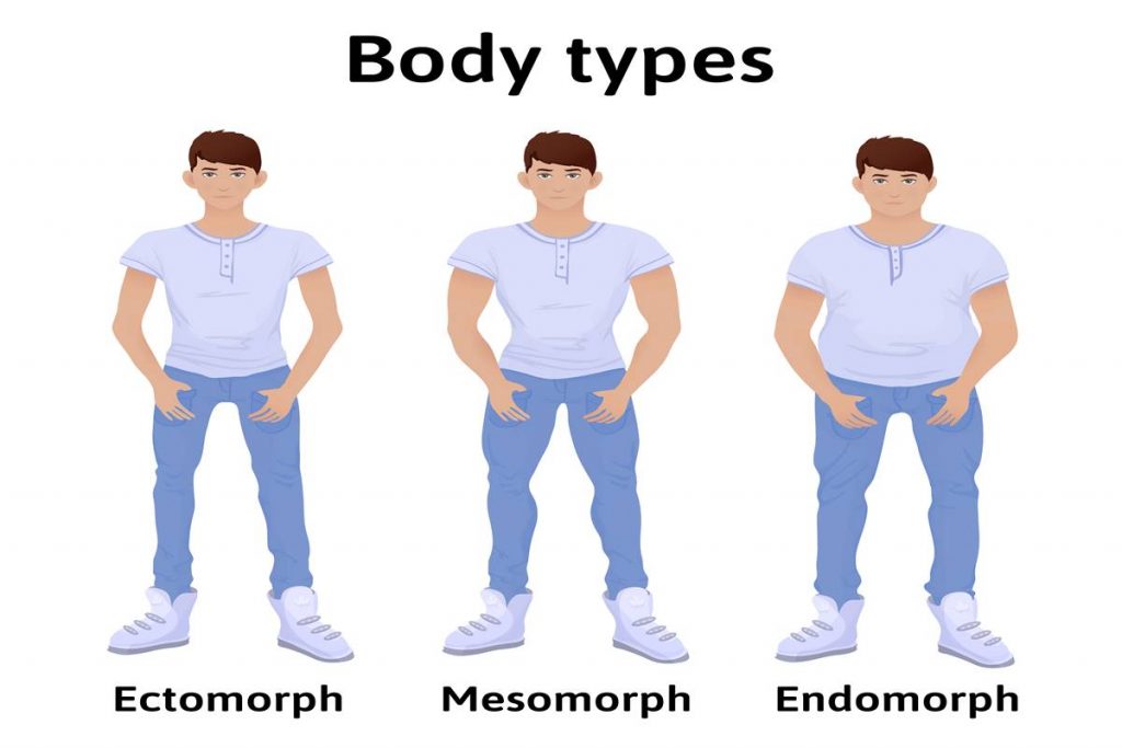 Ektomorf Vücut Tipine Uygunluk