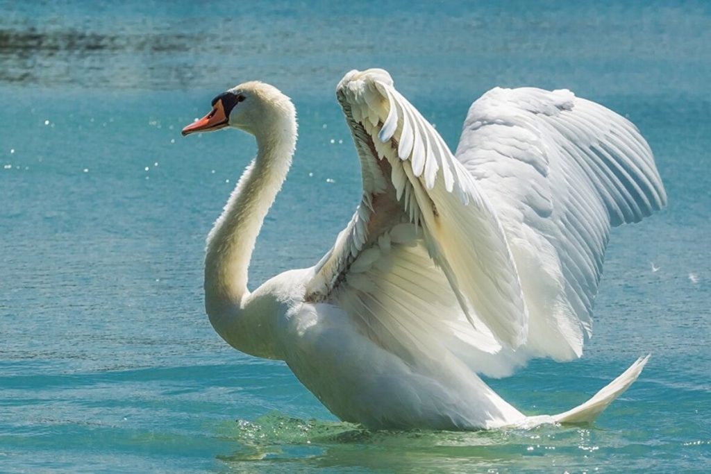 Rızık ile İlgili Sözler