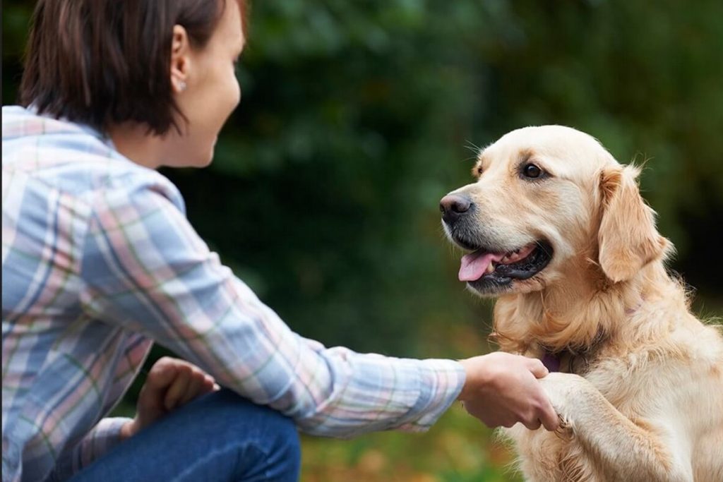 Köpeklerle İlgili Sözler