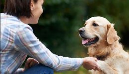 Köpeklerle İlgili Sözler