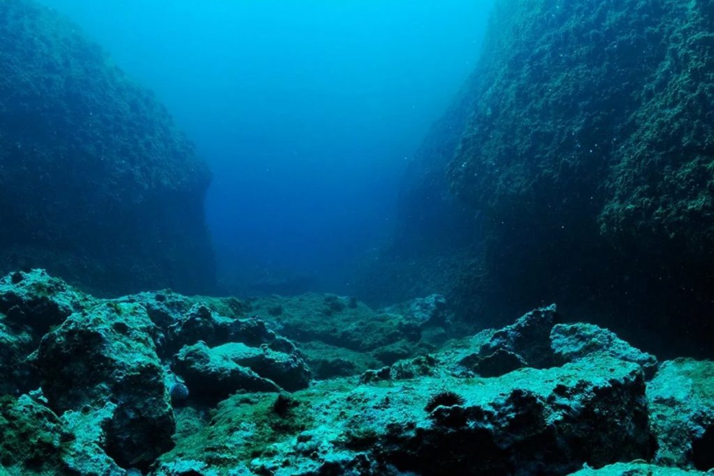 Okyanus ile İlgili Sözler