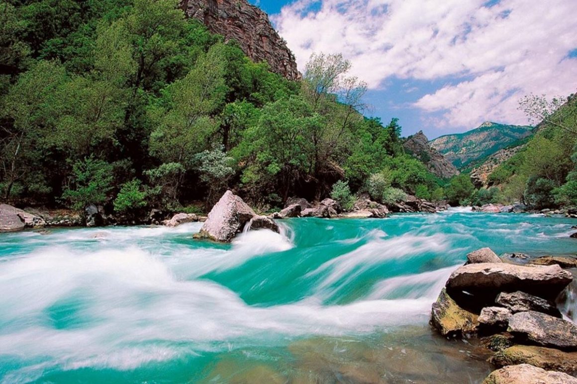 Ağzı Vardır Konuşmaz Yatağı Vardır Fakat Hiç Uyumaz Bilmecesi