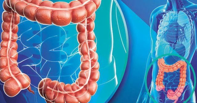 Akut Barsak Enfeksiyonu İnsana Nasıl Bulaşır? Tedavisi ve Korunma Yolları