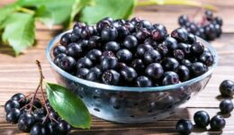 Aronia Meyvesi Nedir Aronya Meyvesi Neye İyi Gelir