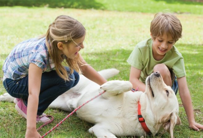 Kistik Ekinokokkoz Nedir, Nasıl Bulaşır? Belirtileri ve Tedavisi