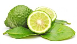 Bergamot Yemeklerde Nasıl Kullanılır? Sağlığa Faydaları ve Zararları