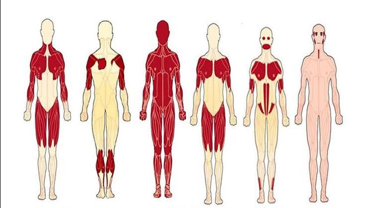 İskelet Sistemi Hastalıkları