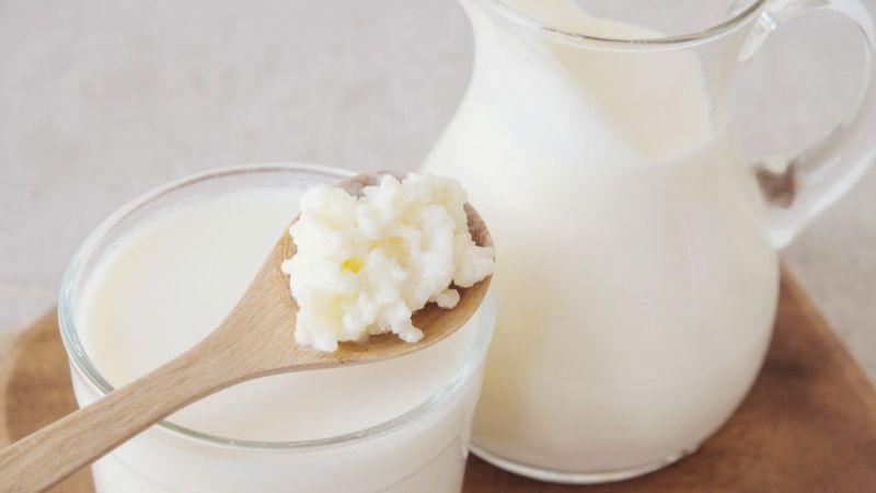 Kefir Mayası Nasıl Yapılır?