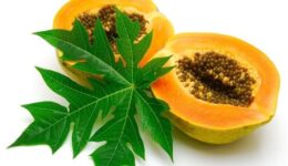 Papaya Yemeklerde Nasıl Kullanılır? Papayanın Faydaları ve Zararları