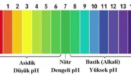 PH Metre Nasıl Kullanılır?