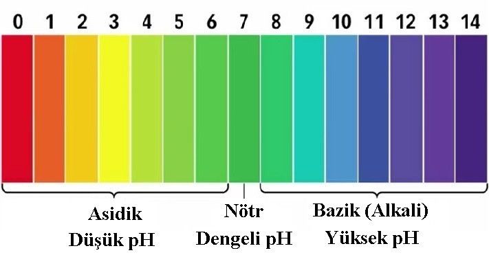 ph-metre-nasil-kullanilir-49680