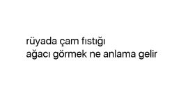 Rüyada çam fıstığı ağacı görmek ne anlama gelir