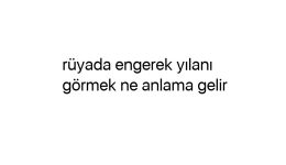 Rüyada engerek yılanı görmek ne anlama gelir