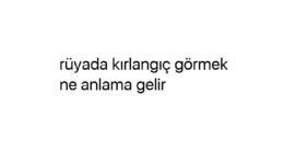 Rüyada kırlangıç görmek ne anlama gelir