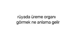 Rüyada üreme organı görmek ne anlama gelir