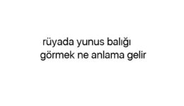 Rüyada yunus balığı görmek ne anlama gelir