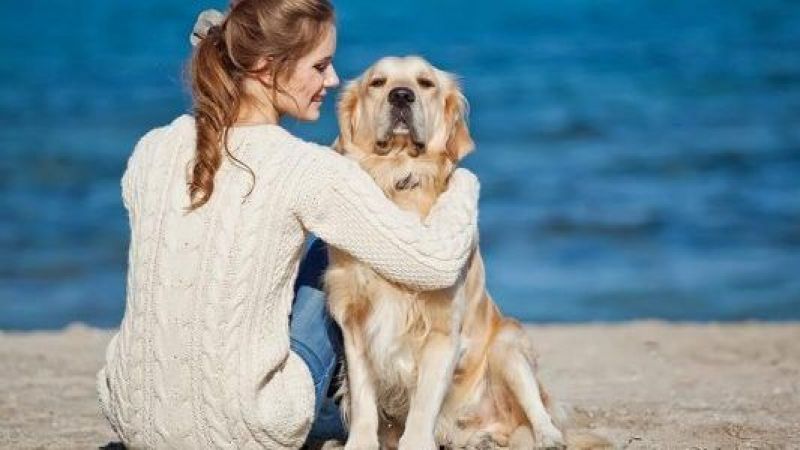 Köpeklerde Görülen Kansızlık ve Sara Hastalığının Tedavisi