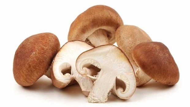 shiitake-mantari-yemeklerde-nasil-kullanilir-faydalari-ve-zararlari-nelerdir-68439