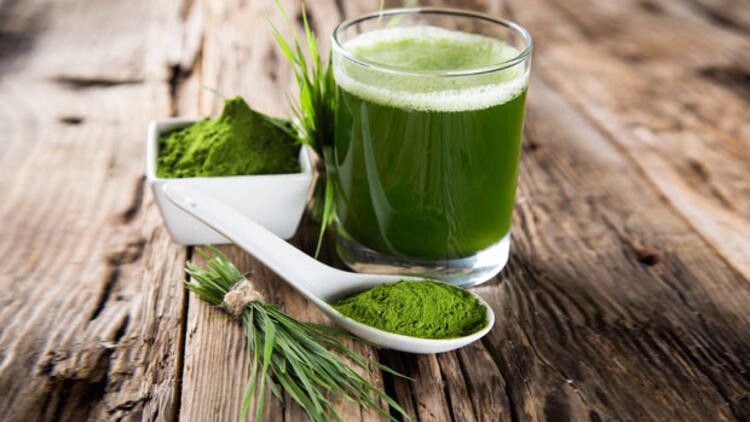 spirulina-nedir-87148