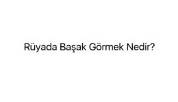 Rüyada Başak Görmek Nedir?