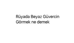 Rüyada Beyaz Güvercin Görmek ne demek