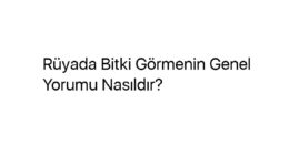 Rüyada Bitki Görmenin Genel Yorumu Nasıldır?