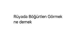 Rüyada Böğürtlen Görmek ne demek