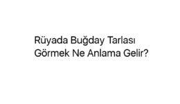 Rüyada Buğday Tarlası Görmek Ne Anlama Gelir?