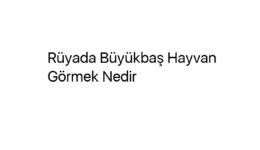 Rüyada Büyükbaş Hayvan Görmek Nedir