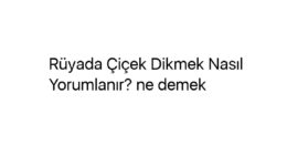 Rüyada Çiçek Dikmek Nasıl Yorumlanır? ne demek