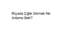 Rüyada Çığlık Görmek Ne Anlama Gelir?