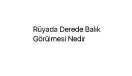 Rüyada Derede Balık Görülmesi Nedir