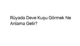 Rüyada Deve Kuşu Görmek Ne Anlama Gelir?