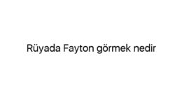 Rüyada Fayton görmek nedir