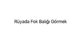 Rüyada Fok Balığı Görmek