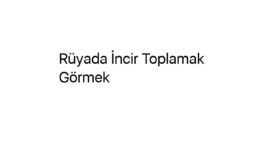 Rüyada İncir Toplamak Görmek