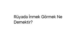 Rüyada İnmek Görmek Ne Demektir?