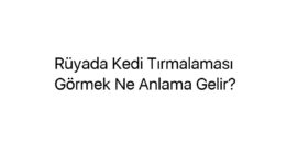 Rüyada Kedi Tırmalaması Görmek Ne Anlama Gelir?