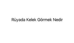 Rüyada Kelek Görmek Nedir