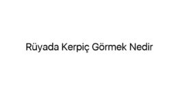 Rüyada Kerpiç Görmek Nedir