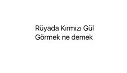 Rüyada Kırmızı Gül Görmek ne demek