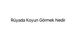 Rüyada Koyun Görmek Nedir