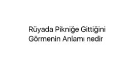 Rüyada Pikniğe Gittiğini Görmenin Anlamı nedir