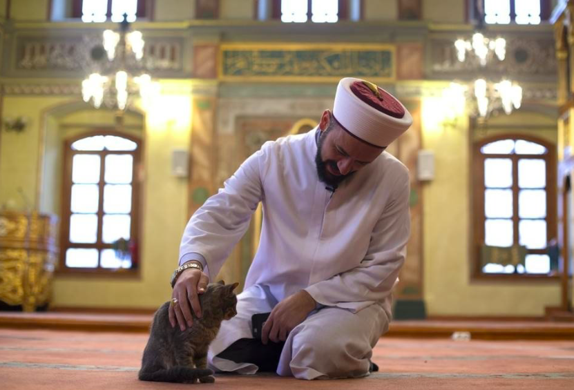 Rüyada imam görmek ne anlama gelir