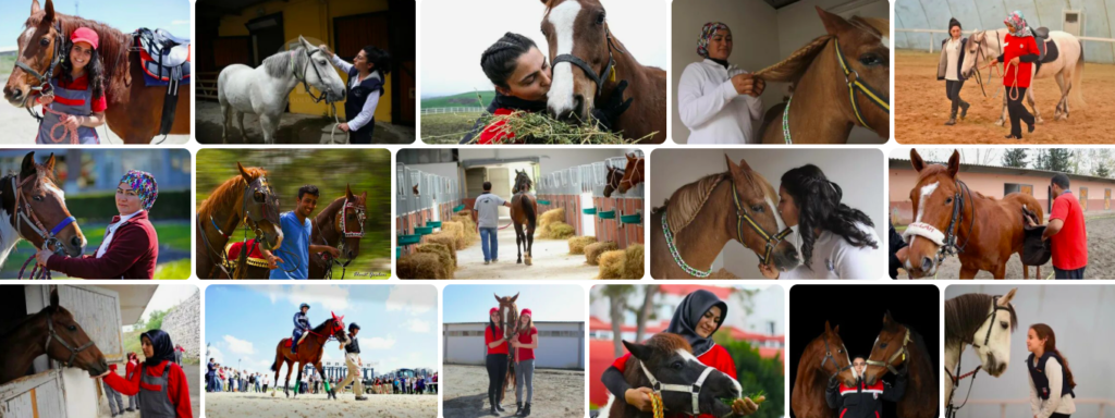 Rüyada seyis görmek ne anlama gelir