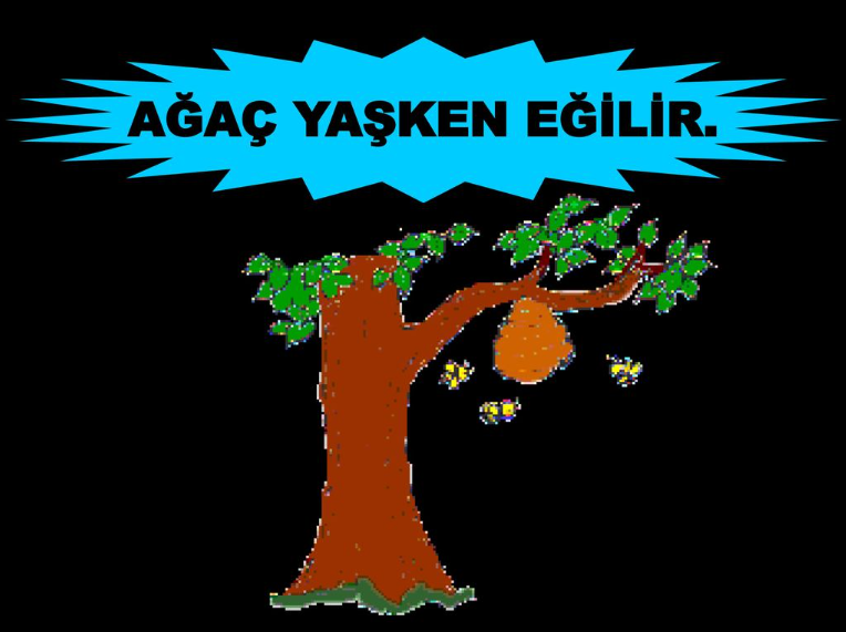 agac-yasken-egilir-atasozu-ne-demek-ana-fikri-nedir-60359