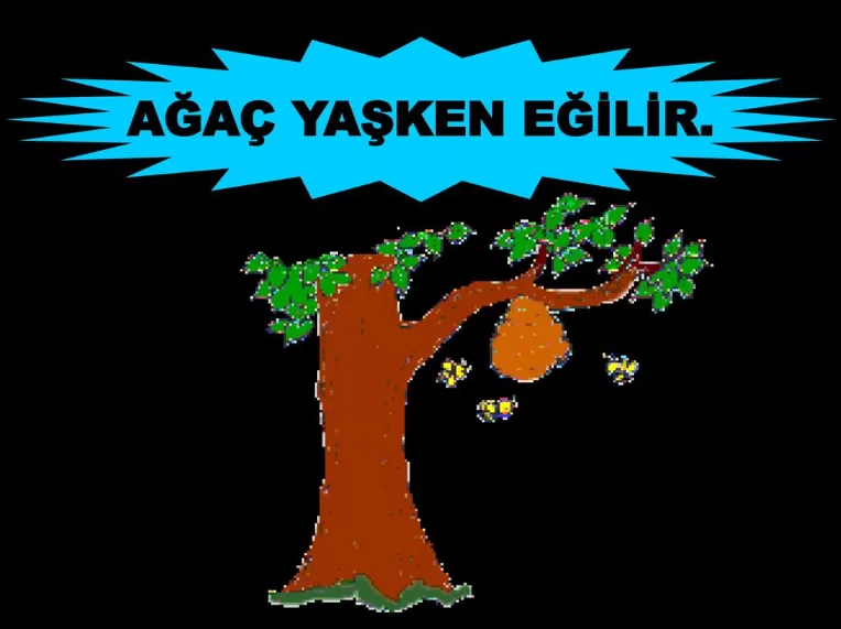 Ağaç