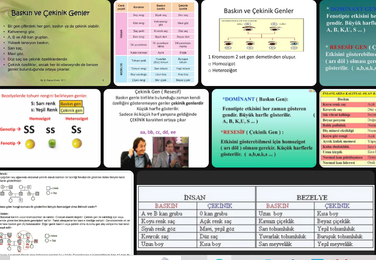 baskin-gen-nedir-baskin-gen-ile-cekinik-gen-arasindaki-farklar-69313