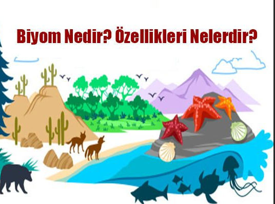 biyom-nedir-10674