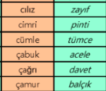 cagri-kelimesinin-es-anlamlisi-nedir-tdk-anlami-ve-ornek-cumleler-98940